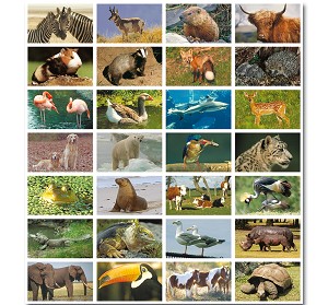 Serie 41 - allerlei dieren