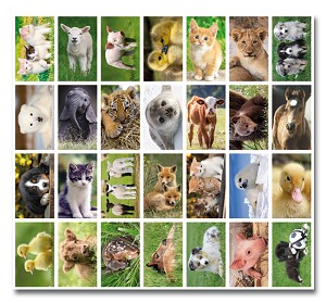Serie 108 - baby dieren