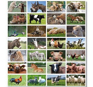 Serie 110 - boerderijdieren