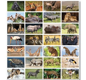 Serie 140 - wilde dieren