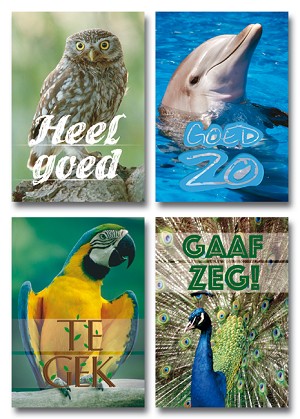 Serie 221 - dieren met complimenten
