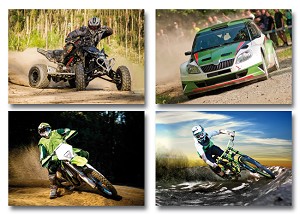 Serie 308 - off road