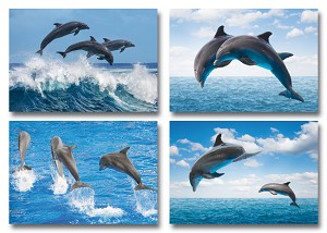 Serie 410 - dolfijnen