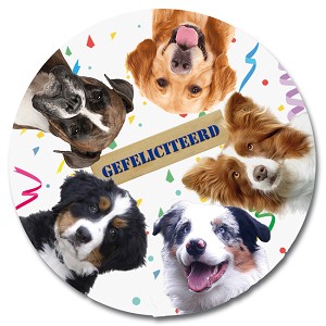Serie 117 - honden gefeliciteerd