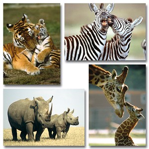 Serie 11095 - wilde dieren