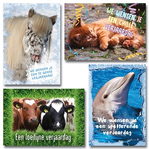 Serie 11098 - dieren met felicitatie