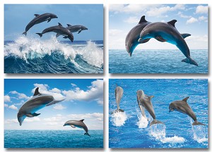Serie 12022 - dolfijnen