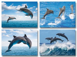 Serie 942 - dolfijnen