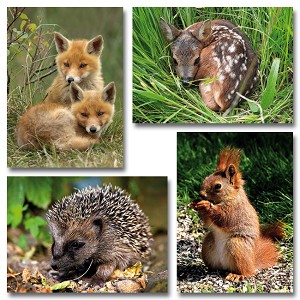 Serie 947 - bosdieren