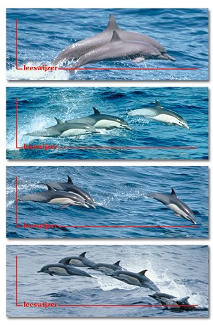 Serie 525 - dolfijnen