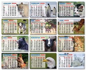 Kalenderblokjes 2026 - foto's