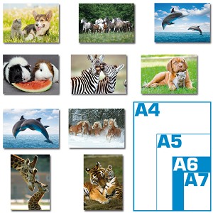 Pakket ansichtkaarten - dieren foto's