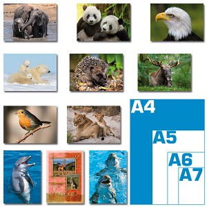 Pakket reuzewenskaarten - dieren foto's